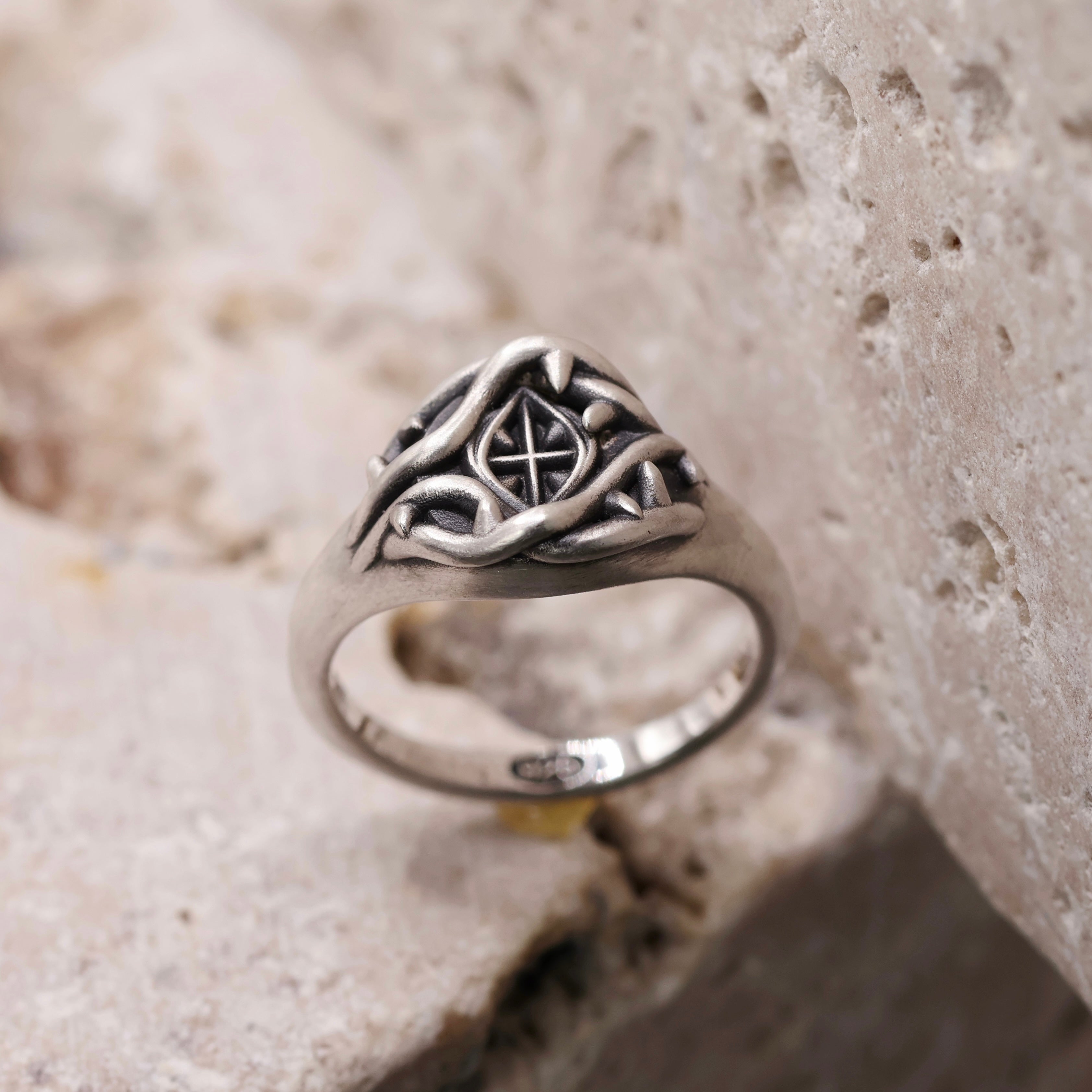 Stolen Identity Ring